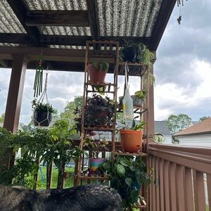 Meet your Posher, Janaya